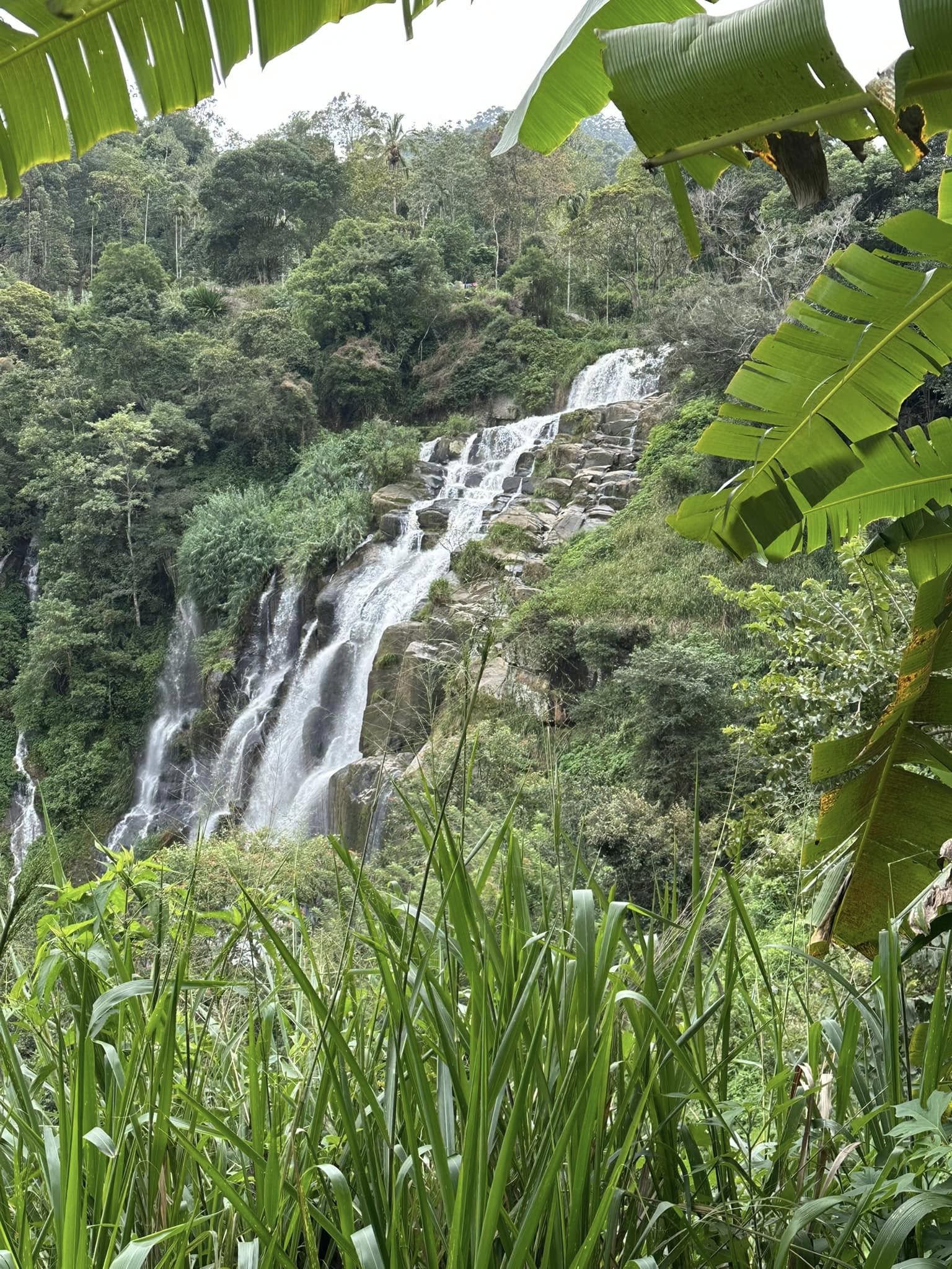 Výběr éterických olejů pro osobní směs