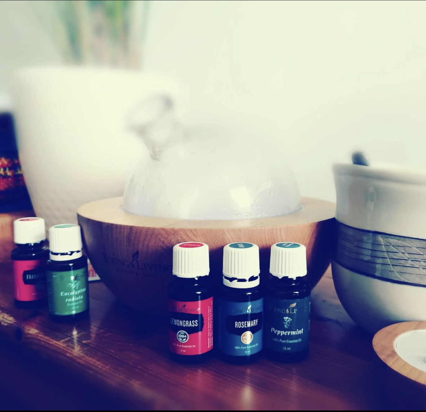 Sluneční paprsky nad stráněmi a smrkovým lesem